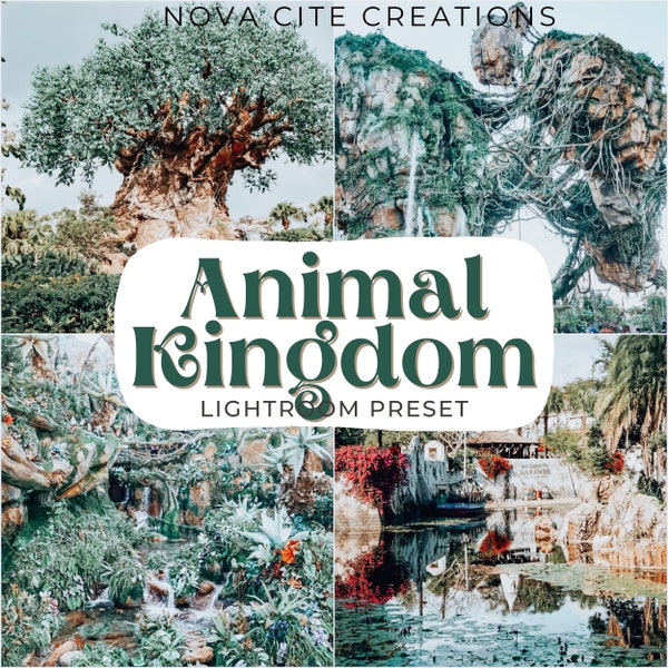 3 Animal Kingdom Presets - Earthy Presets - Travel Blogger Preset