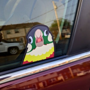 Green Cheek Conure 4" Vinyl Peeker Style Sticker, Funny Weatherproof Car Decal