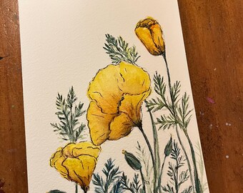 California Poppy Watercolor Spring Illustration Still Life