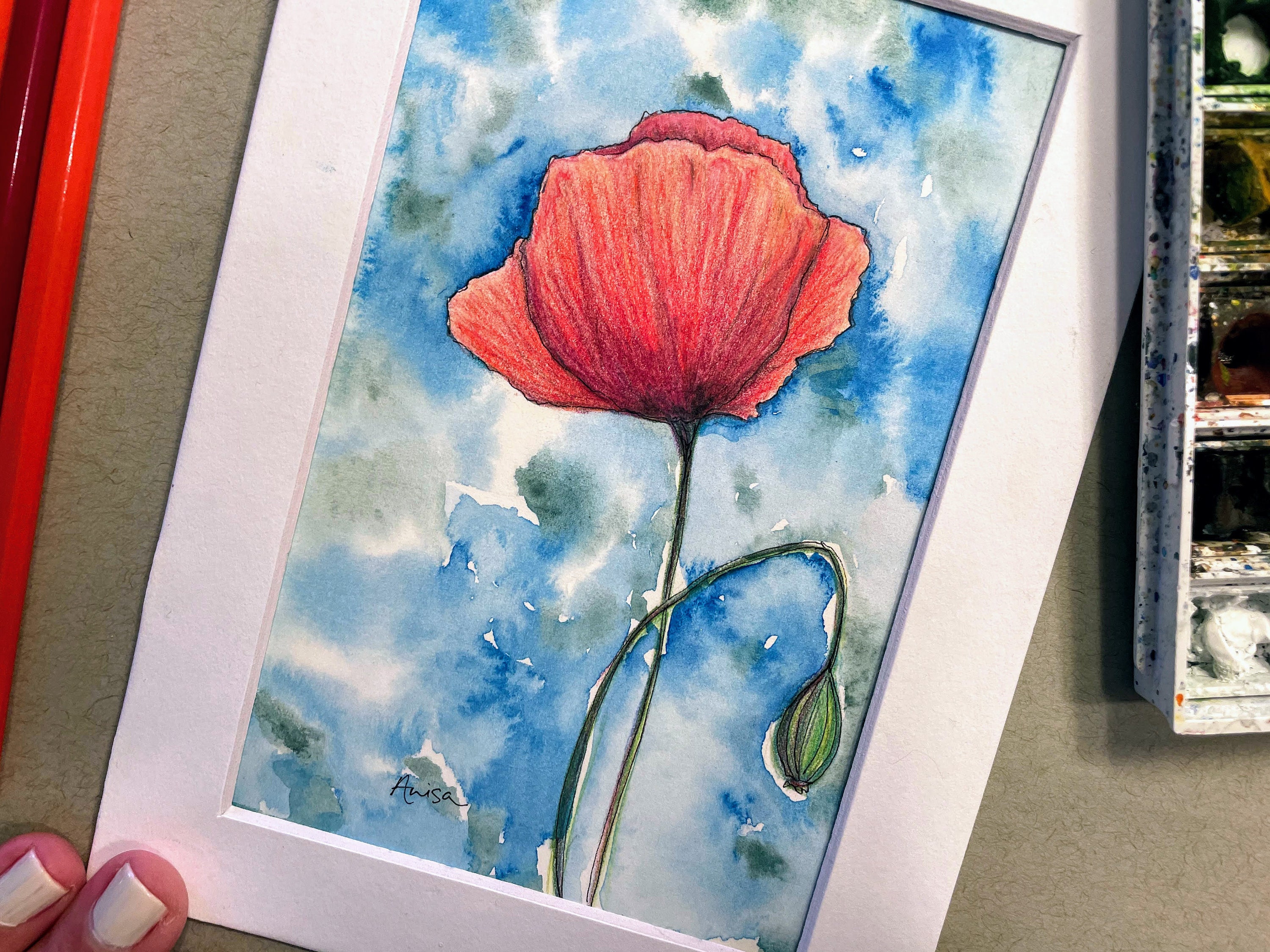 Wild Poppy Original Artwork Pencil and Paint Floral Watercolor - Etsy