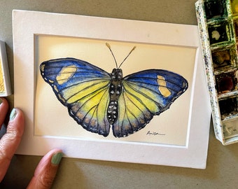 Ceres Forester Butterfly Painting Original Watercolor Blue and Yellow Shimmery Paint