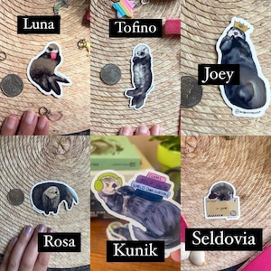 Set of 3 Mix and Match Otter Stickers