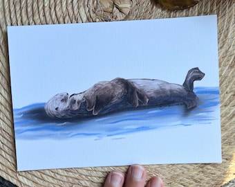 Mom and Baby Sea Otter Drawing Art Print