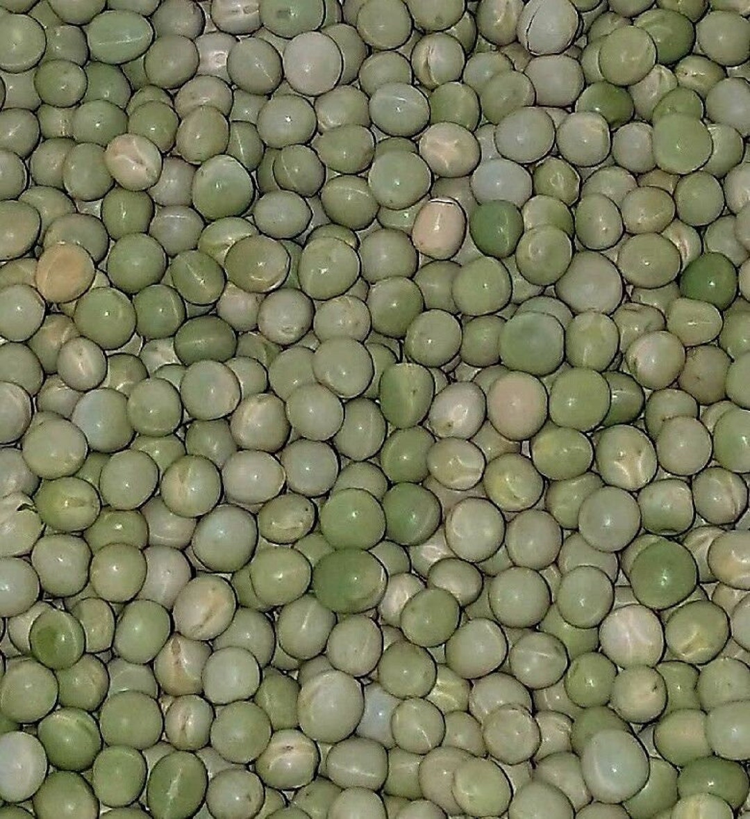 green peas⭐︎ SplitGreenPeasNew.png?v=