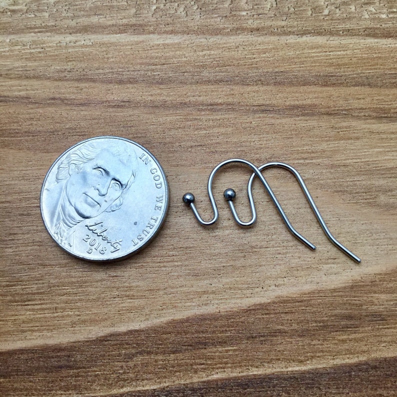 12 Pairs Shepherd Hooks Surgical Stainless Steel Earring Etsy