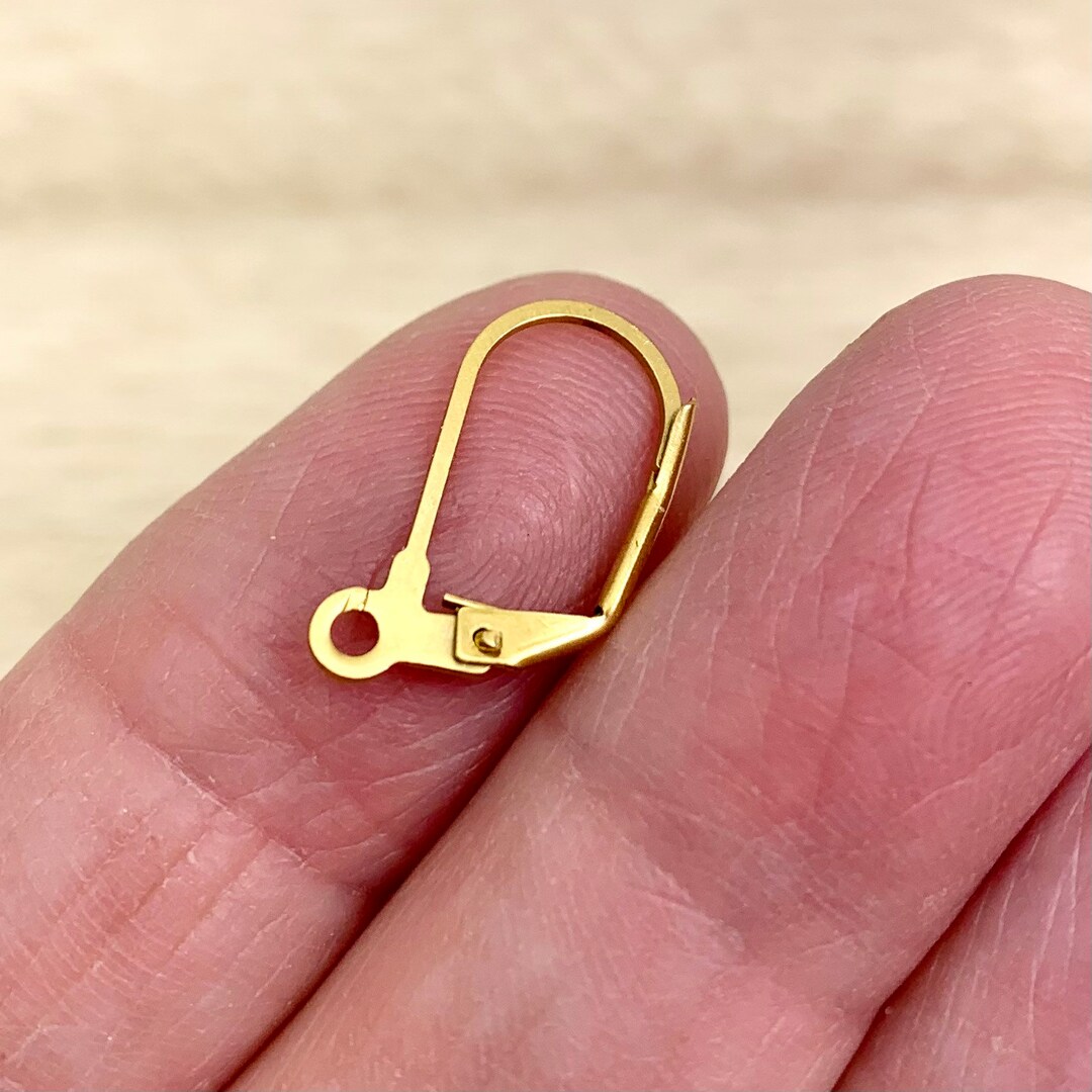 Surgical Stainless Lever Backs Gold Stainless Steel Earring Etsy