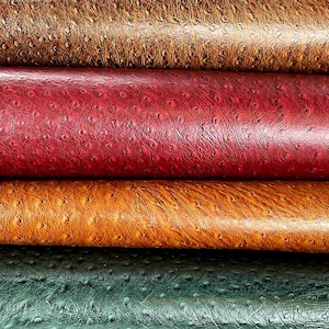 Ostrich Leather Prints, Embossed Cowhide Leather Sheet for Bags,Wallet,Crafts,Uphostery (50X70cm, 1.2mm)