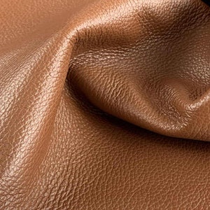 Tabba Brown Embossed Dollaro Leather: Italian Cowhide Upholstery