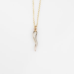 Italian horn necklace, dainty necklace, layering necklace, protection necklace, necklaces for women, Horn necklace, Gold filled necklace