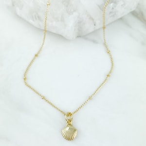 May include: A gold-toned necklace featuring a delicate chain with small, evenly spaced metal beads and a single, textured seashell pendant. The pendant is suspended from a small circular jump ring, creating a simple and refined jewelry piece.