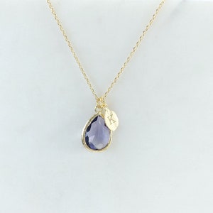 Collier améthyste, collier avec pierre de naissance, breloque initiale personnalisée, bijoux avec pierre de naissance, cadeau d'anniversaire de février, cadeaux amytheste violette pour elle image 1