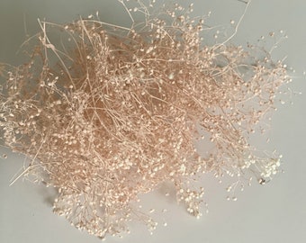 Blush Dried Baby Breath: Craft & Jewelry Supplies (0.2oz)