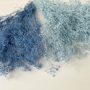 May include: Two bunches of dried baby's breath, one in a light blue color and the other in a darker blue color.
