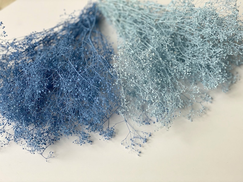 May include: Two bunches of dried baby's breath, one in a light blue color and the other in a darker blue color.