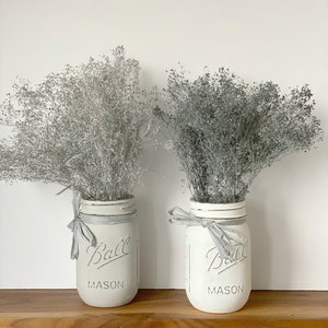 Gris, aliento de bebé plateado; Plata seca aliento bebé;sediento gris plata bebé aliento a montón, plata seca gypsophila