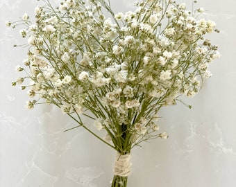 Air dried baby breath-Natural dried baby breath-flowers for resin