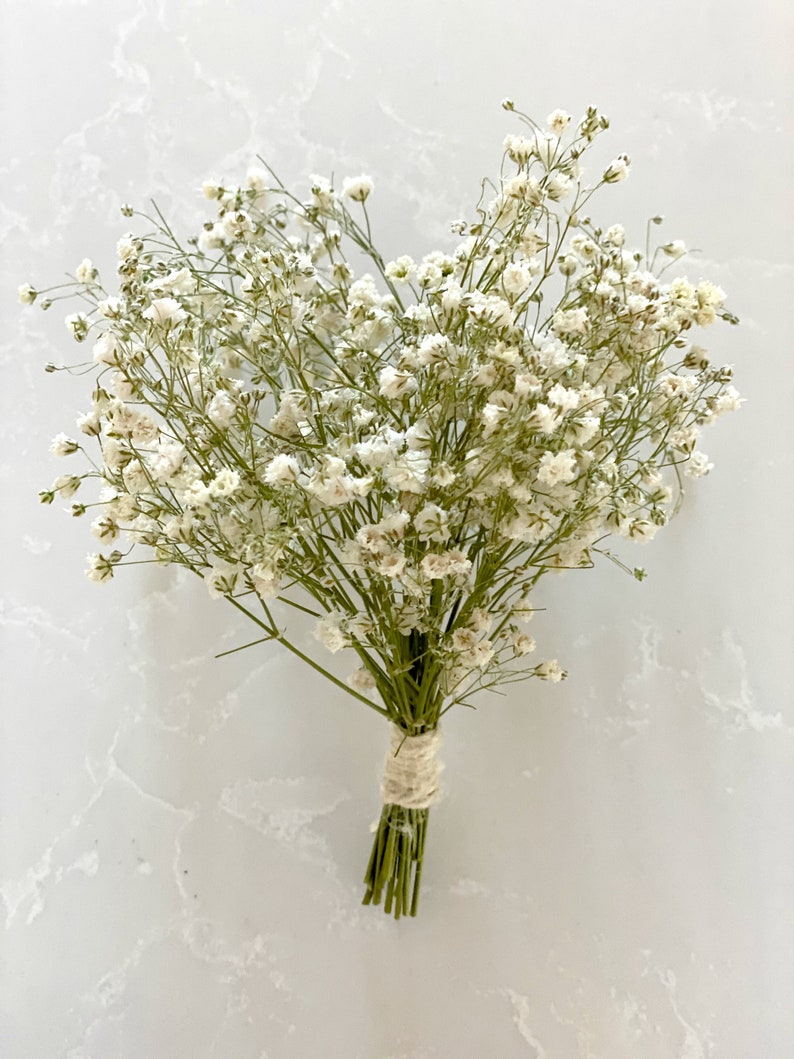 Air dried baby breathNatural dried baby breathflowers for Etsy