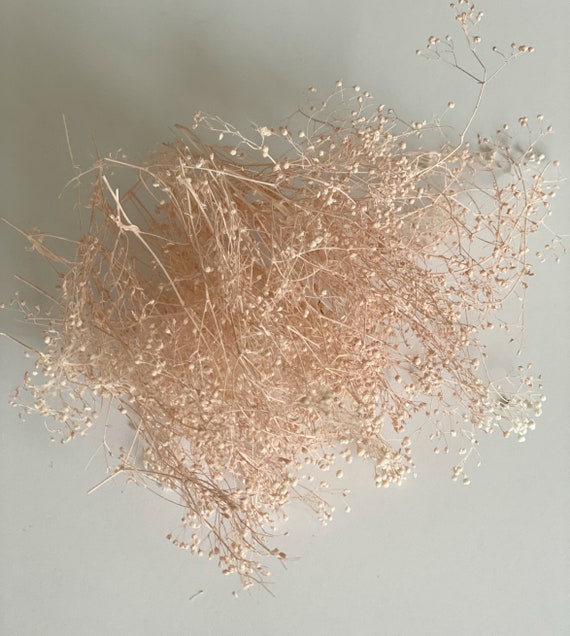 Air Dried Baby Breath-natural Dried Baby Breath-flowers for Resin 