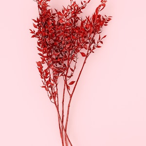 Red Dyed Ruscus Stems – 16&quot; Preserved Foliage for Bouquets, Arrangements & DIY Decor