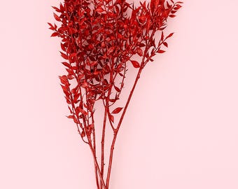 Red Dyed Ruscus Stems – 16&quot; Preserved Foliage for Bouquets, Arrangements & DIY Decor