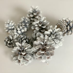 Christmas Decor - Pine Cones - Wedding Decor - Natural Embellishment - Holiday Crafts - Nature Inspired Crafts