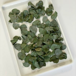 May include: A white ceramic tray filled with dried green eucalyptus leaves.