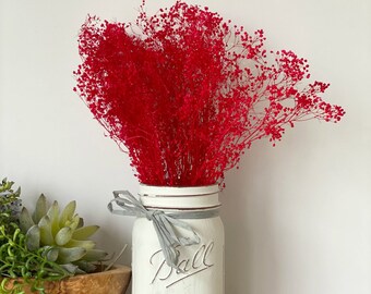 Gypsophile rouge séché : bouquet de fleurs artisanal (10-12 po. de long)