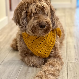 PDF Dog Bandana-Knitting Bandana PDF-Knitting patter for yarn weight 4-