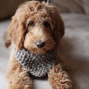 Beginner  knitting  Pattern-Scarf knitting pattern - Knitted Bulky Yarn Dog Scarf – Triangle Bandana Style – Cozy Pet Neck Warmer