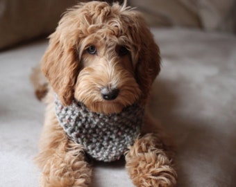 Dog bandana knitting pattern-Knits for dogs-Beginner  knitting  Pattern-Scarf knitting pattern