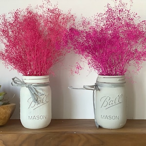 Frambuesa rosa y Fucsia rosa seco bebé aliento, Gypsophila seca, flores secas reales suministros