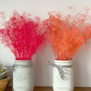 Coral dried flowers bunch, Dried Baby breath ,dried flowers Bunch