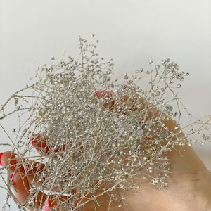 Klein pakje Silver Glittered baby adem; Gedroogde bloemen baby adem