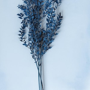 Painted Blue Ruscus Stems – 24–26&quot; Long Preserved Foliage for Floral Arrangements & Decor