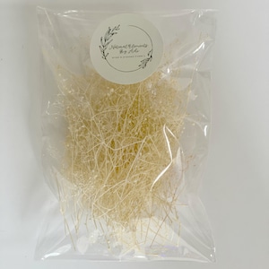Petit paquet d'haleine de bébé séchée à la crème ; Fournitures de fleurs séchées pour bijoux et faire-part de mariage, Fleurs séchées pour cartes