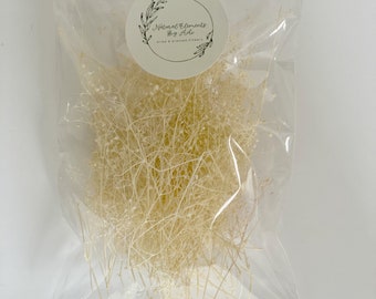 Aliento de bebé seco en crema: Suministros florales para bricolaje (0.2 oz)