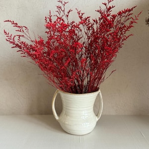Red dried flowers-Red preserved Caspia-Red  flower bouquet