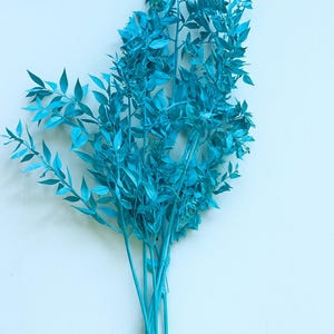 Preserved Ruscus in Ice Blue – Dyed Dried Foliage Stems for Bouquets, Floral Arrangements, Home Decor