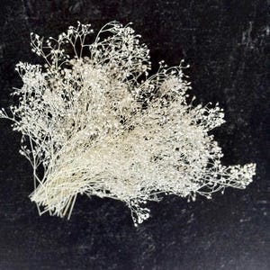 Petit paquet d'yeux blancs scintillants - Fleurs séchées - Fleurs blanches pour travaux manuels - Cartes - Faire-part de mariage - Décoration de gâteau