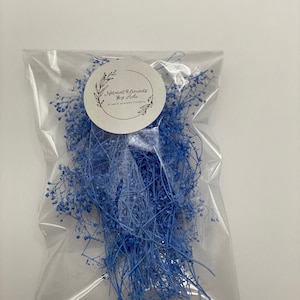 Petit paquet de gypsophile séché bleu français ; Fournitures de fleurs séchées pour bijoux et faire-part de mariage, Fleurs séchées pour cartes