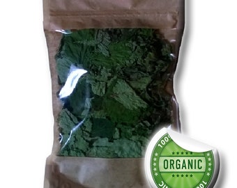 Hazel Corylus Avellana Organic Dried Herbal Tea 100% Pure