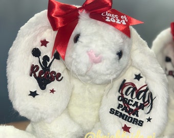 Cheer - Team Spirit Bunny - Big Little Gift - Cheerleader - Senior - Coach -  Plush - Stuffed Animal - Pom easter