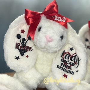 Cheer - Team Spirit Bunny - Big Little Gift - Cheerleader - Senior - Coach -  Plush - Stuffed Animal - Pom easter