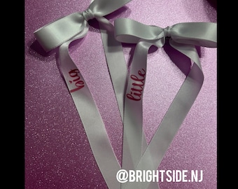 Big Little Hair Bow - Single Tail - Satin - Coquette Trendy - Ribbon - Hair Clip -Dance Cheer Sorority Sister College
