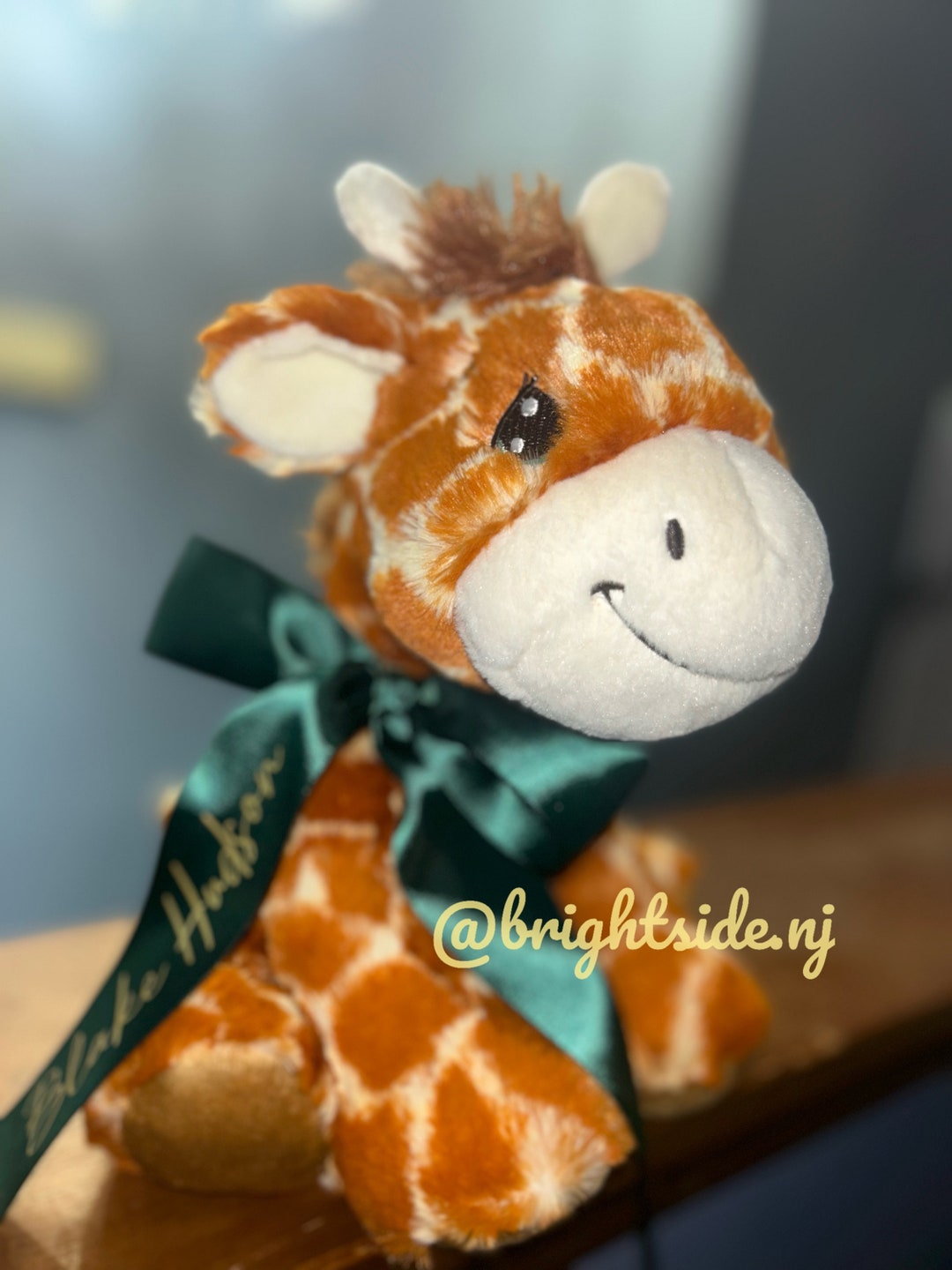 Personalized Giraffe Baby Shower Gift Name Plush Etsy