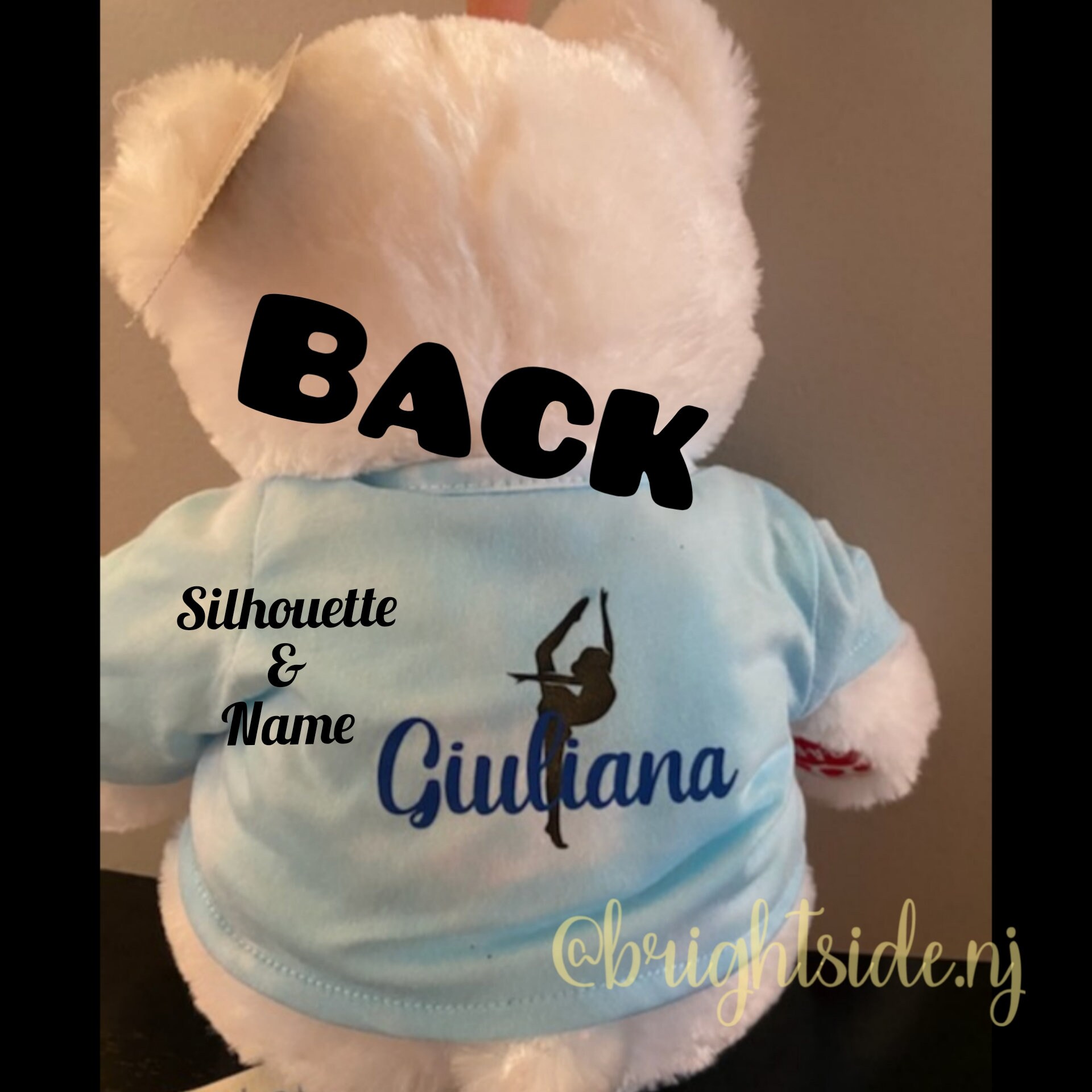 dance recital stuffed animals