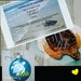 Sea Turtle Ornament - Save the Turtles - % of Sale Will Be Donated to ...