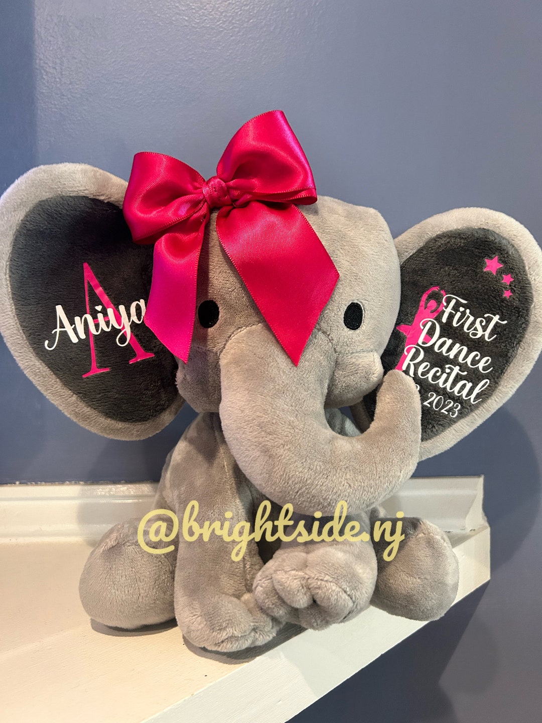 Dance recital stuffed animals hotsell