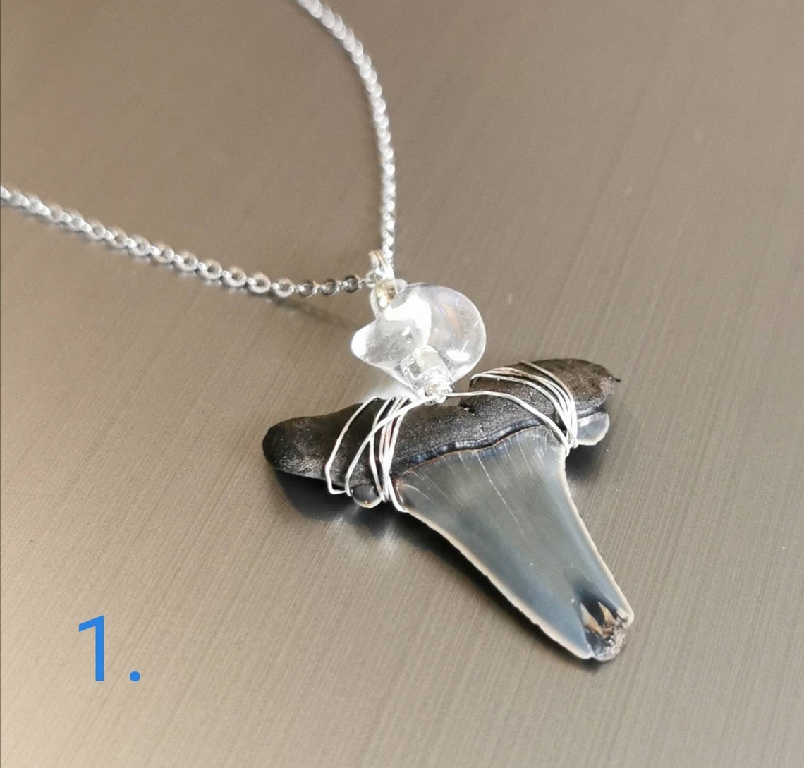 Collier fossilisé de dent de requin Etsy