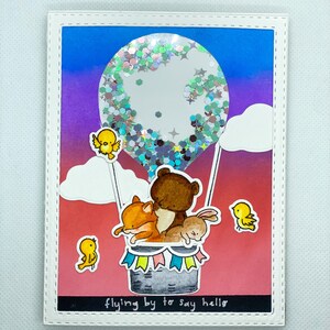 Biglietti di auguri fatti a mano per tutti gli animali / Biglietti carini / Tutte le occasioni / Biglietti shaker / Biglietti per mongolfiere